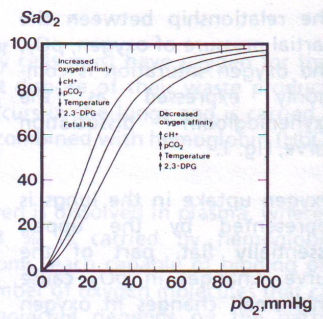Factors affecting the hemoglobin oxygen affinity - Pulse-meter.com